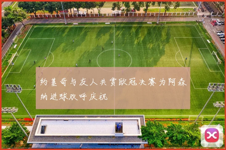 约基奇与友人共赏欧冠决赛为阿森纳进球欢呼庆祝